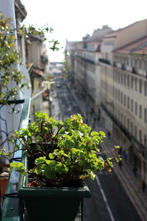 baixa-01